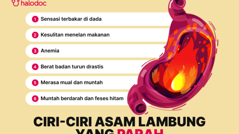 Gejala Asam Lambung Naik Penyebab, Ciri-Ciri, dan Cara Mengatasinya Secara Alami